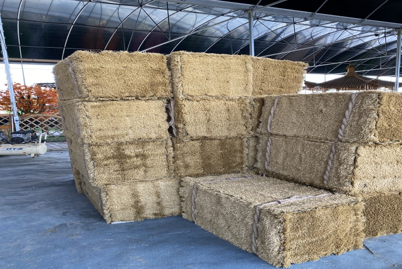 探索三国文化人物雕塑的艺术魅力与历史价值