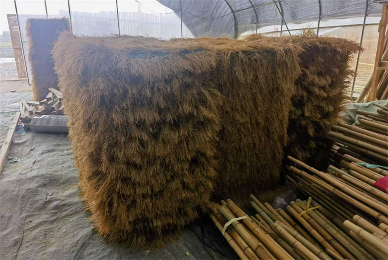 探索艺术与环境的对话：冰川融化解构雕塑的深刻内涵