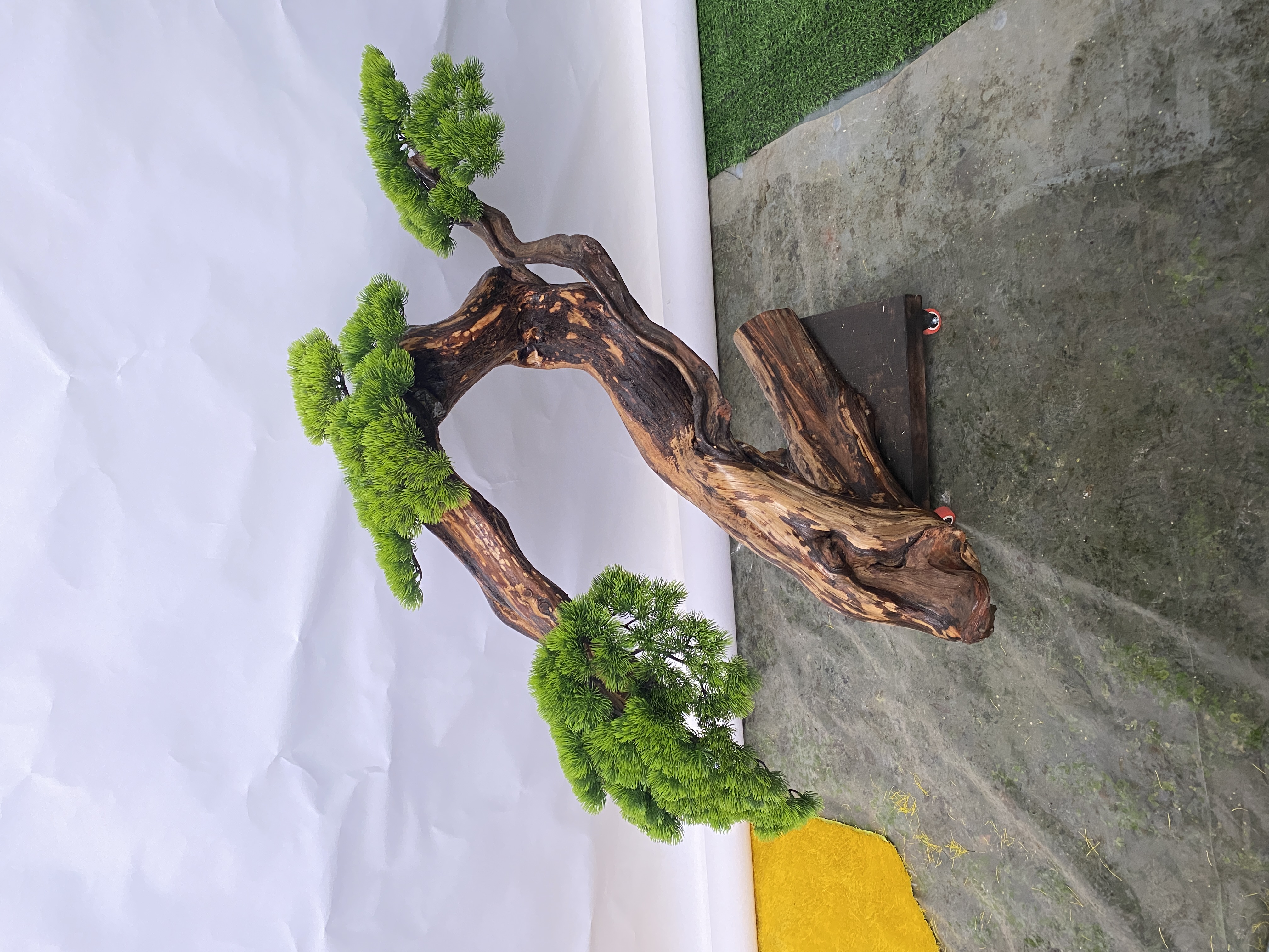 打造泸州设计庭院花园：探索自然美学与现代设计的融合