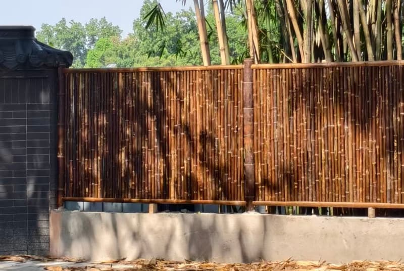 探索凉山半水生植物景观：自然之美与生态多样性的交响曲