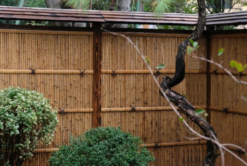 探索南充水生植物浮床的生态价值与应用前景
