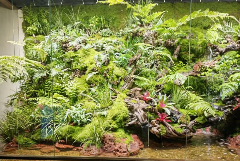 探索资阳地区独特的半水生植物品种及其生态价值