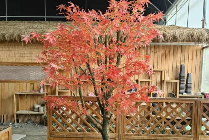 探索成都的现代艺术与奢华：润花园设计师酒店成都的独特魅力