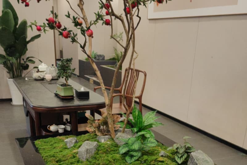 探索广元湿地水生植物养护的重要性与实践方法