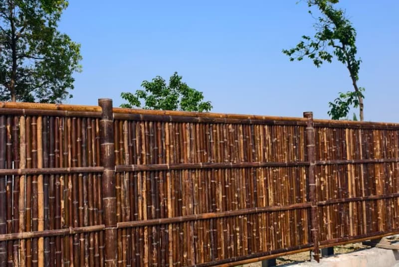 南充私人花园设计师招聘：打造您的绿色梦想家园