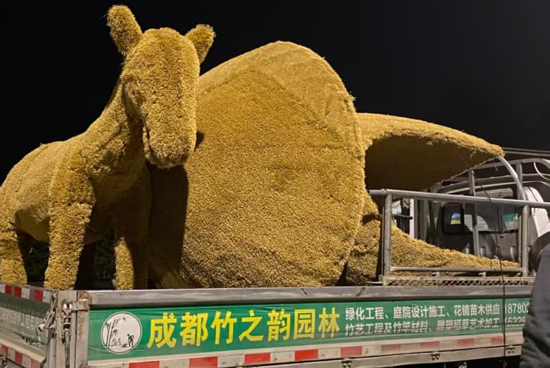 探索成都花园造景设计图片：自然与艺术的和谐融合