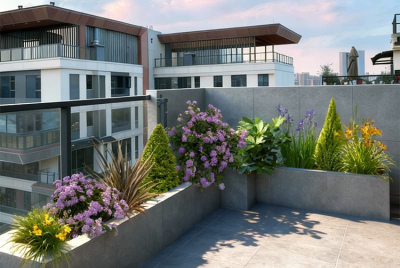 成都花园设计哪家好？专业服务与创意设计引领潮流