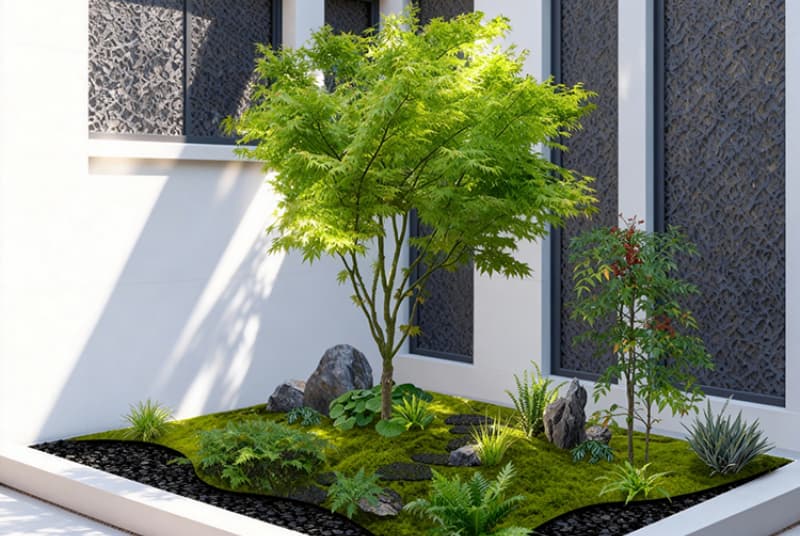 四川彩叶草花哪里买到？探索四川彩叶草花购买指南