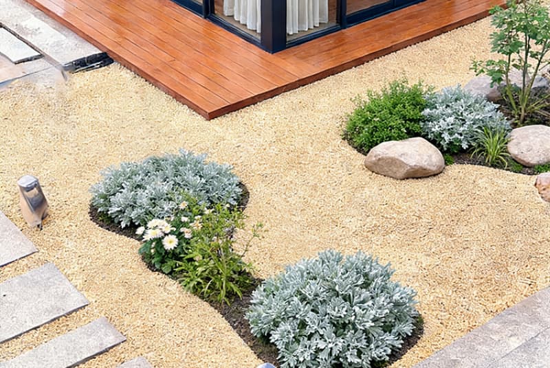 探索广元能吃的水生植物厂家：生态美食与健康生活的桥梁