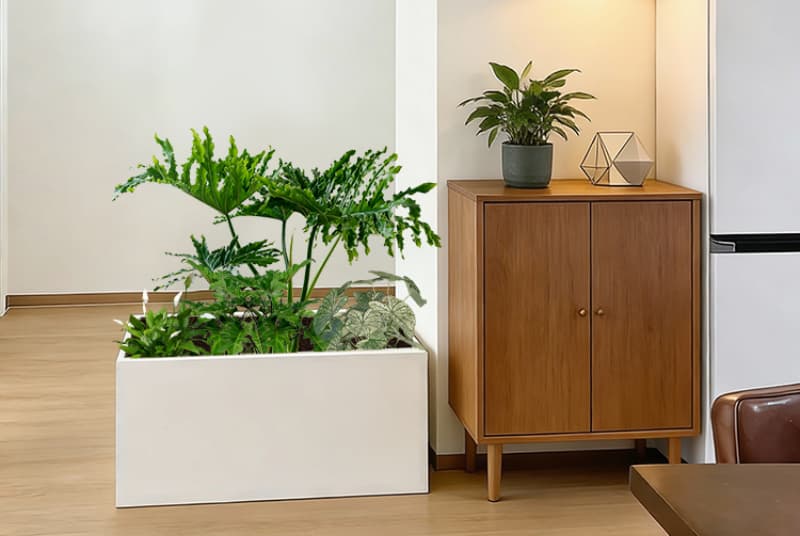 探索甘孜家庭花园设计：打造自然和谐的居住空间