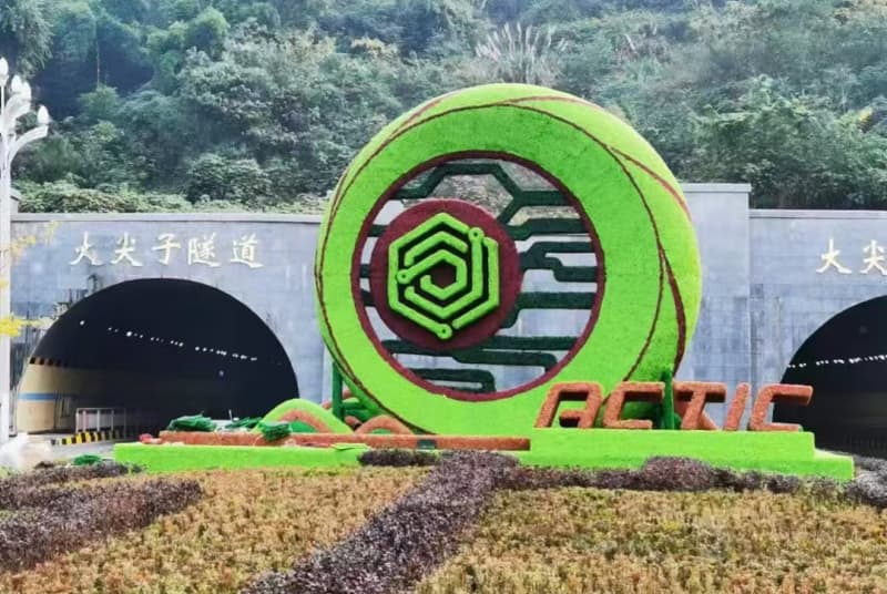 四川道路草花：美化城市景观与生态平衡的绿色使者