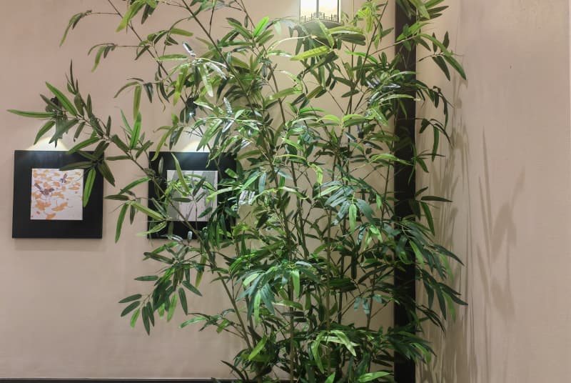 雅安写字楼花园设计施工：打造绿色商务新典范