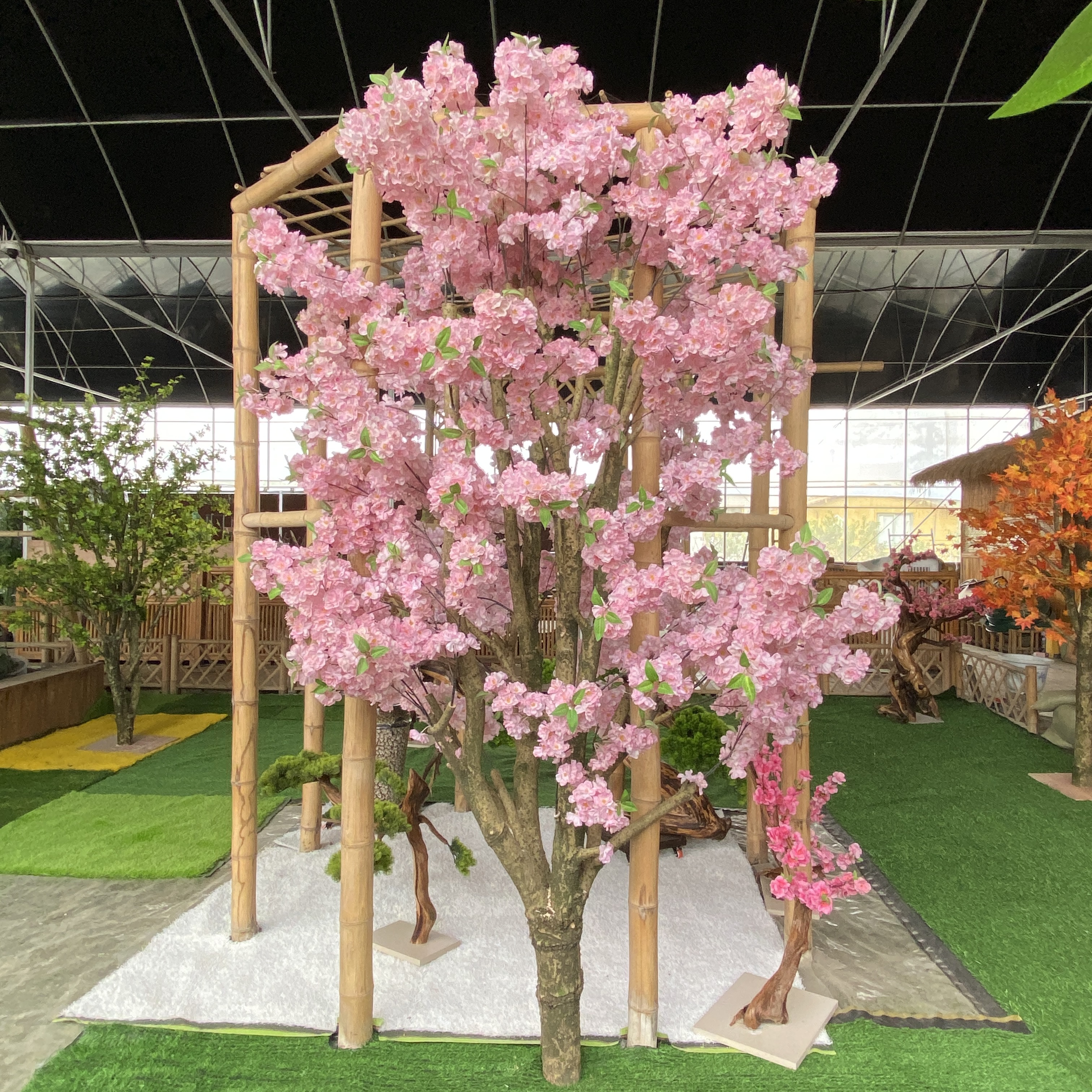 四川春天常见的草花：绚丽多彩的自然奇观