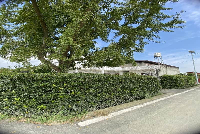 遂宁设计私家花园企业家：打造绿色生活空间的艺术与商业融合