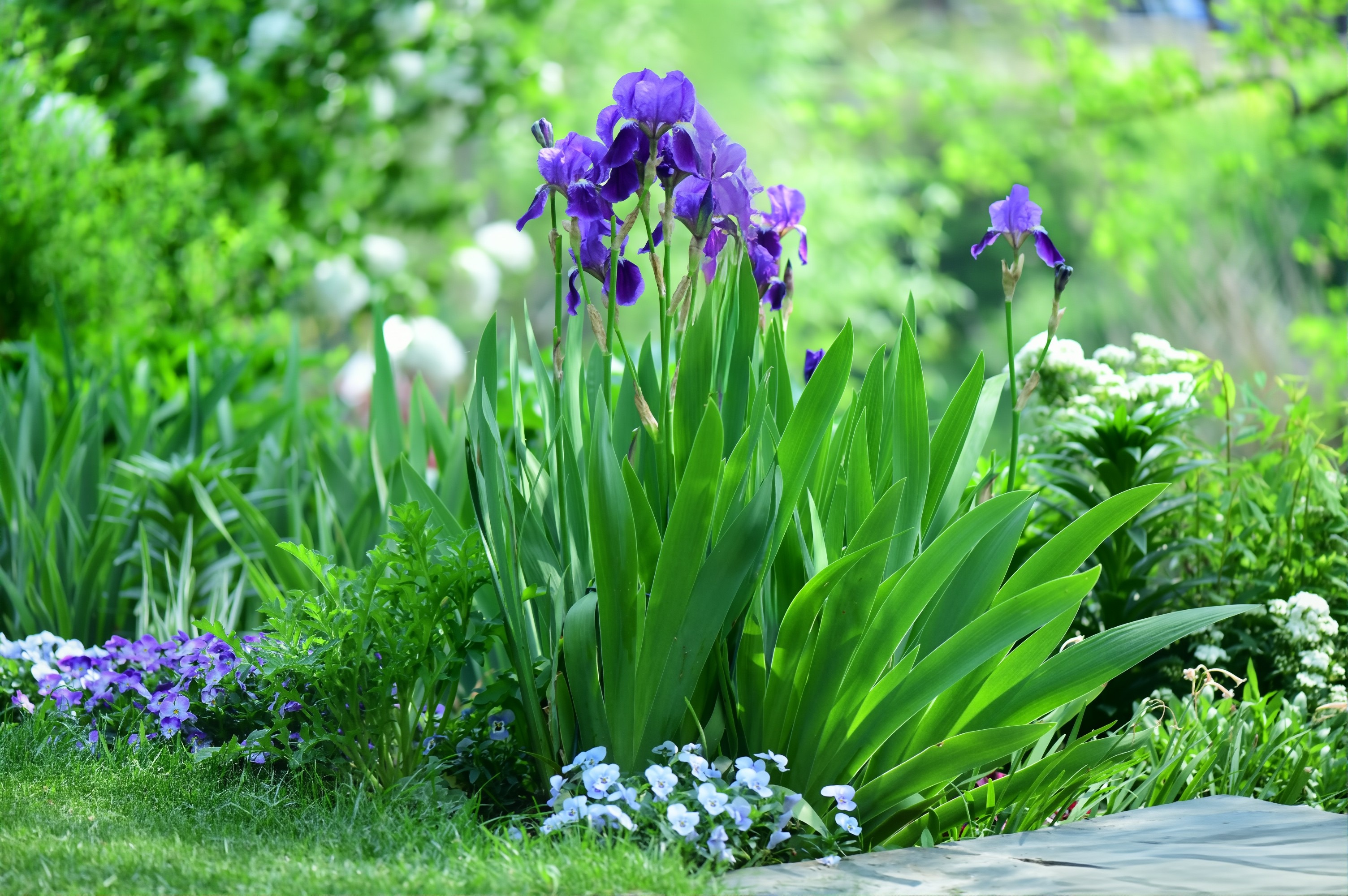 探索四川私家花园景观设计实景图：自然与艺术的完美融合