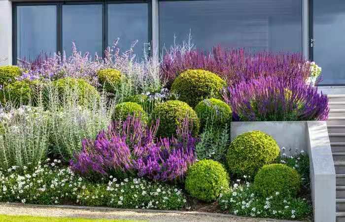 探索凉山花园设计效果图，打造自然与艺术的和谐空间